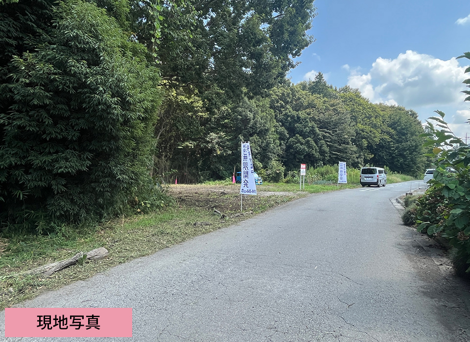 現地写真