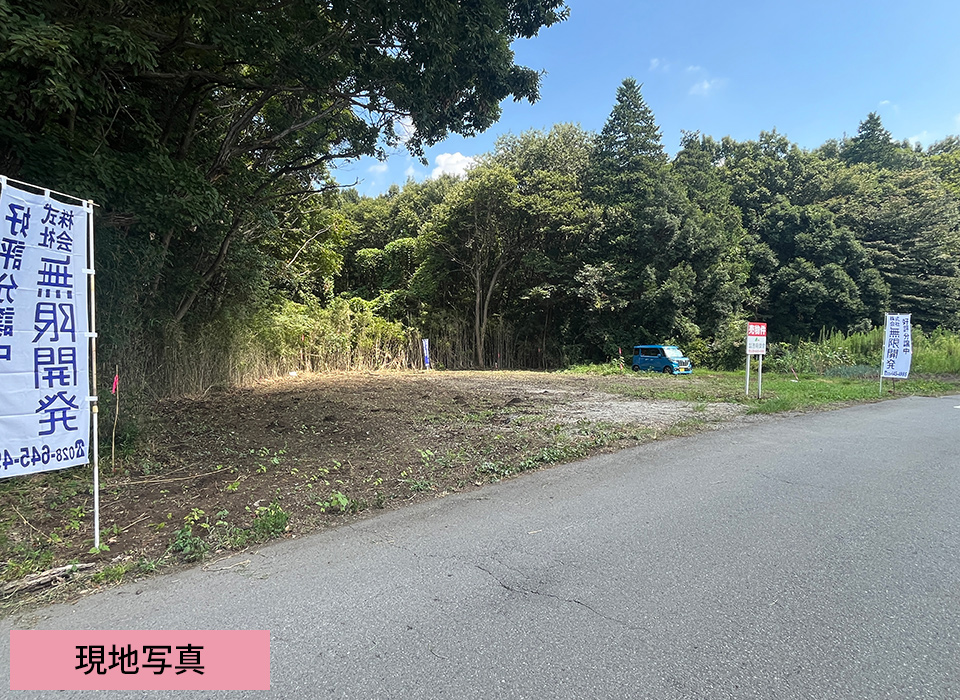 現地写真