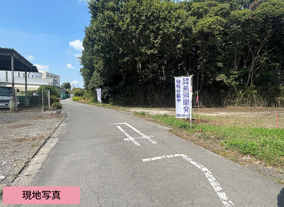 現地写真