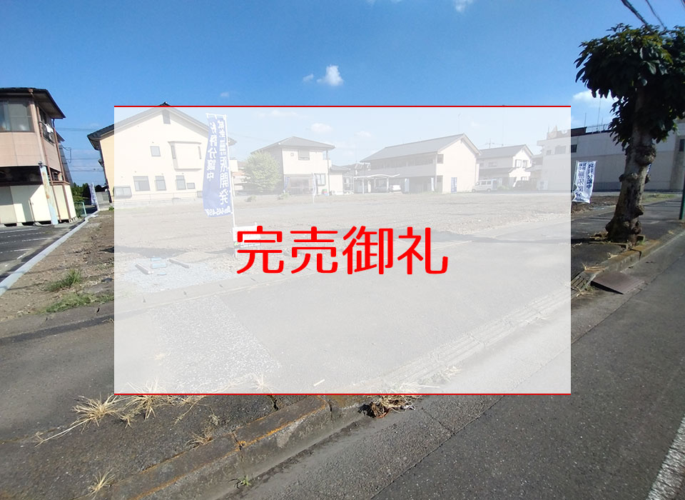 現地写真