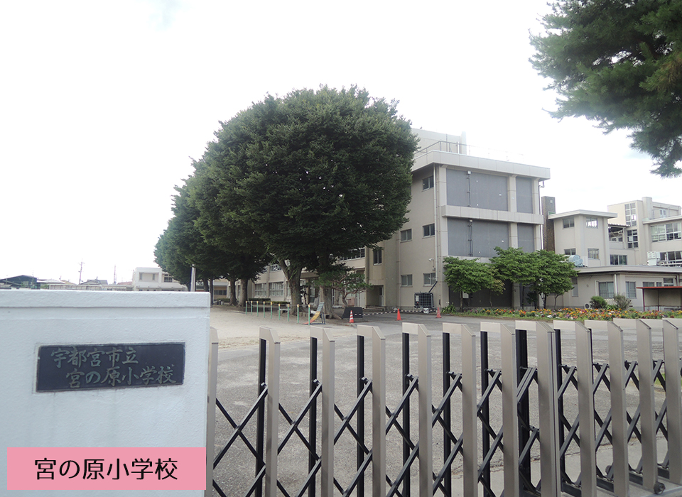 宮の原小学校